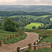 Newlands Corner Where Agatha Christie Went Missing, UK