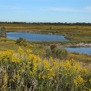 Goose Lake Prairie State Natural Area, Illinois