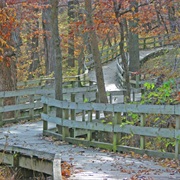 Fontenelle Forest Nature Center, Nebraska