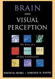 Brain and Visual Perception: The Story of a 25-Year Collaboration (David H. Hubel)