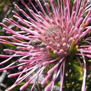 Helena National Park (WA)