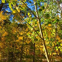 Gunnison-Crested Butte
