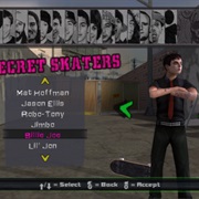 Billie Joe Armstrong in Tony Hawk's American Wasteland