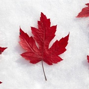 Go on a Road Trip to Canada