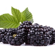 Black Raspberry