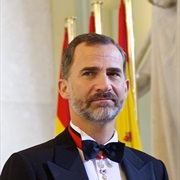 King Felipe VI,	Spain