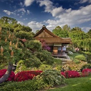 Pine Breeze Villa (Philadelphia)