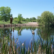 Two Ponds National Wildlife Refuge