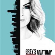 Grey's Anatomy Season 13