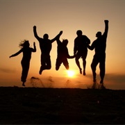 Travelled With Friends