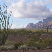 Kofa National Wildlife Refuge