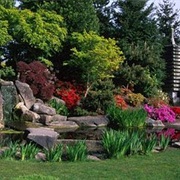 Yashiro Japanese Garden (Olympia)