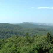 Teutoburg Forest