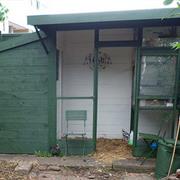 Treated a Garden Shed