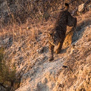 Sierra De Andujar National Park