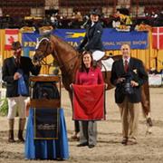 Won a Horse Competition