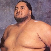 Yokozuna