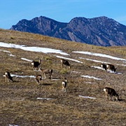 Rocky Flats National Wildlife Refuge