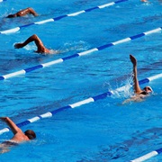 Participate in a Swim Race