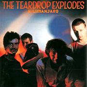 The Teardrop Explodes - Kilimanjaro