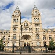 Natural History Museum