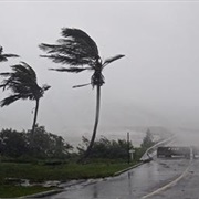 Experienced a Hurricane