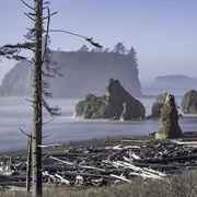 Olympic National Park, Washington
