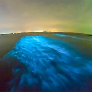 Bio Bay, Cayman Islands