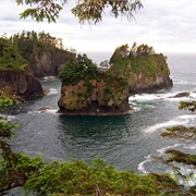 Neah Bay, Washington