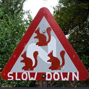 Slow Down