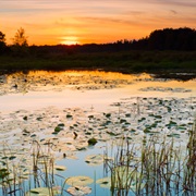 Necedah National Wildlife Refuge