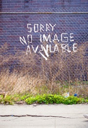 The Patriot of America (2012)