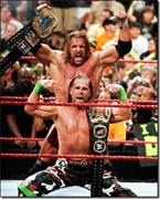 De-Generation X (Shawn Michaels & Triple H)