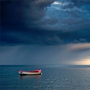 Survive Adrift at Sea