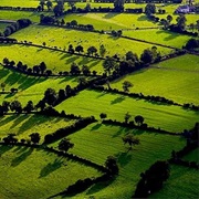 The Bocage, the Hedgerows Countryside