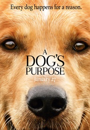 A Dogs Purpose (W Bruce Cameron)
