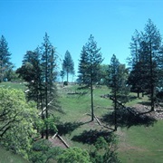 Henry W. Coe State Park, California