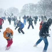 Snowball Fight