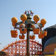 Diego's Rainforest Rescue