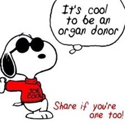 Be an Organ Donor