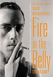 Fire in the Belly: The Life and Times of David Wojnarowicz (Cynthia Carr)