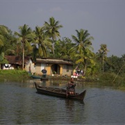 Backwaters Tour in Kochi, India