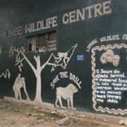 Limbe Wildlife Centre Cameroon