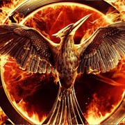 Mockingjay Bird