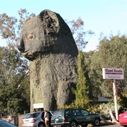 The Big Koala