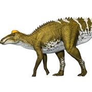 Edmontotosaurus