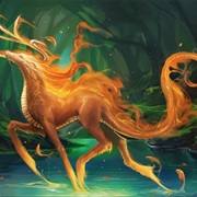 Phoenix Dragon