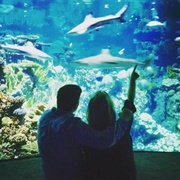 Go on an Alphabet Date