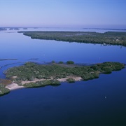 Pelican Island National Wildlife Refuge