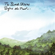 Black Crowes - Before the Frost... Until the Freeze